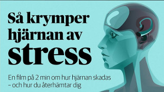 Stress på svenska